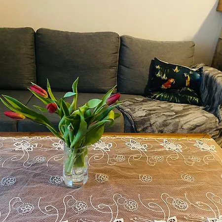 Apartamento Cozy Oldtown Next Of Town Hall Square Talin